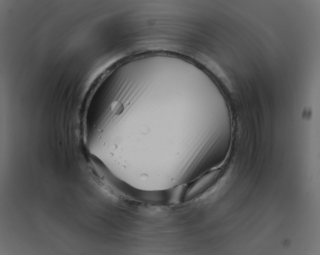 X0000094930782200712131536