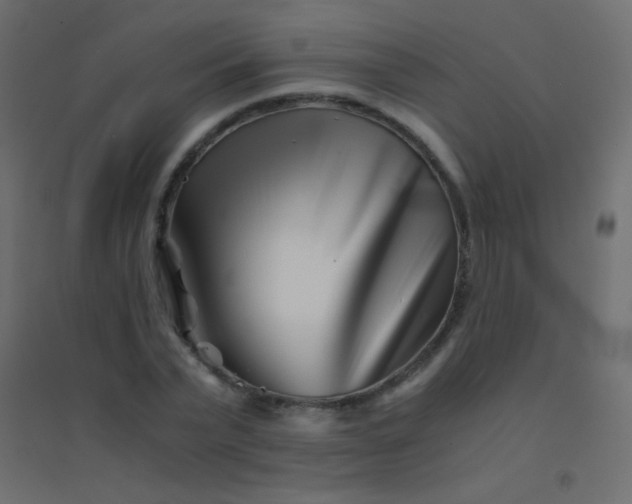 X0000094930783200712131536