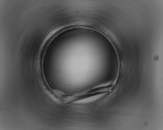 X0000094930784200712131536