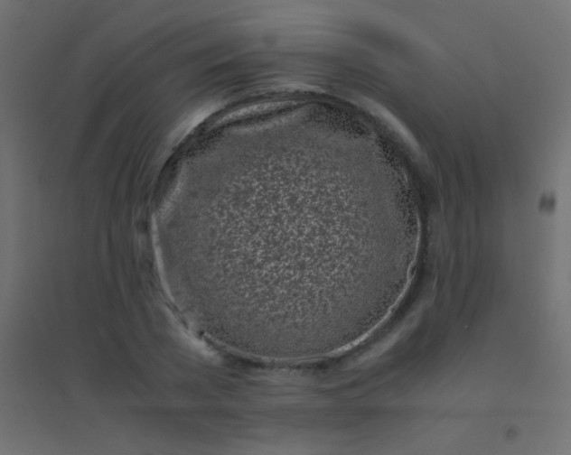 X0000094930785200712131536