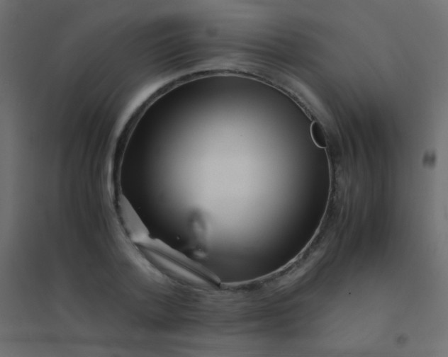 X0000094930788200712131536