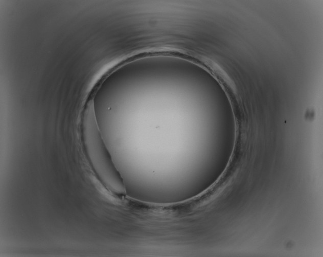 X0000094930789200712131536