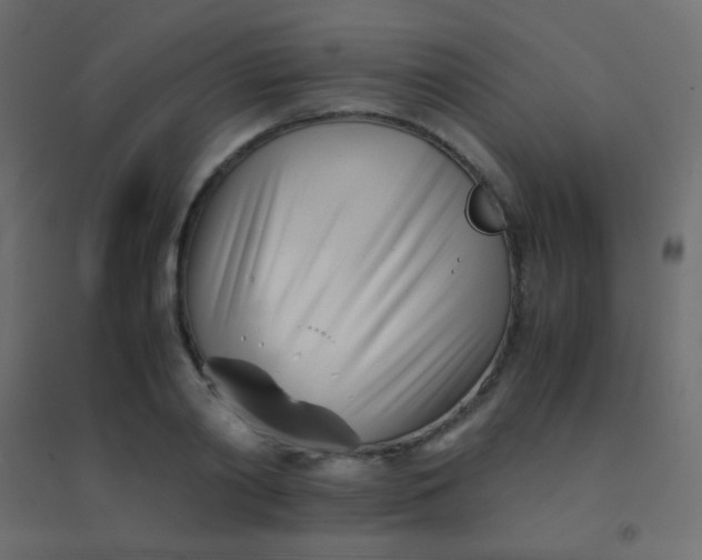 X0000094930790200712131536