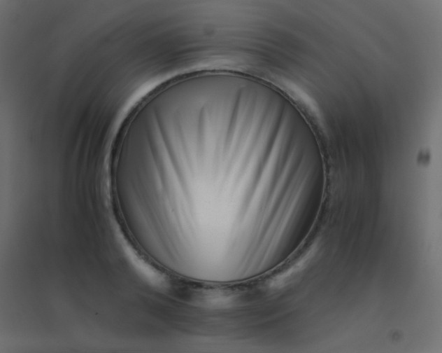 X0000094930792200712131536