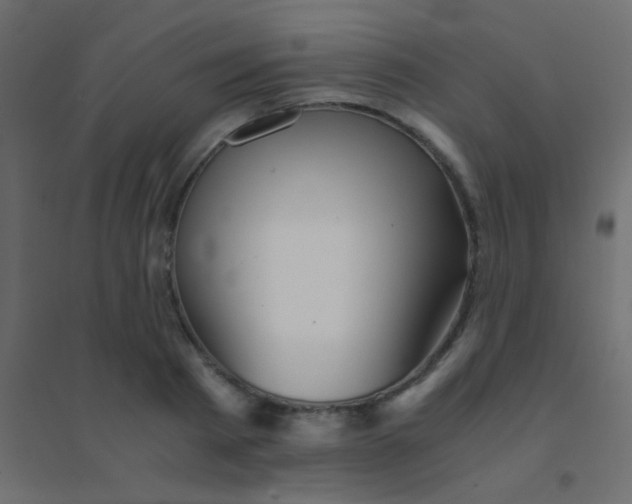 X0000094930793200712131536