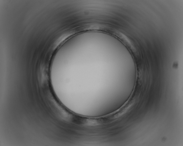X0000094930794200712131536
