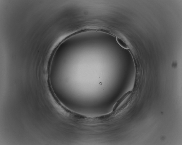 X0000094930795200712131536