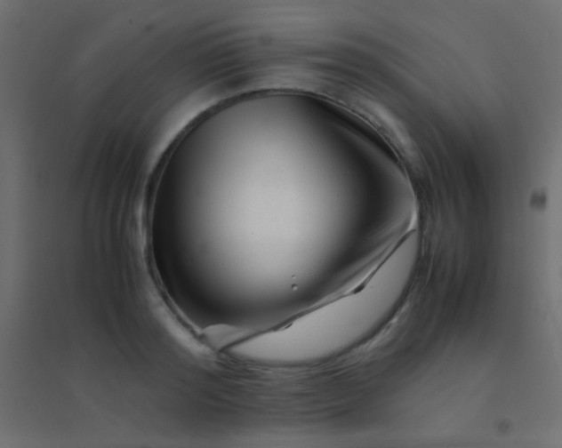 X0000094930796200712131536