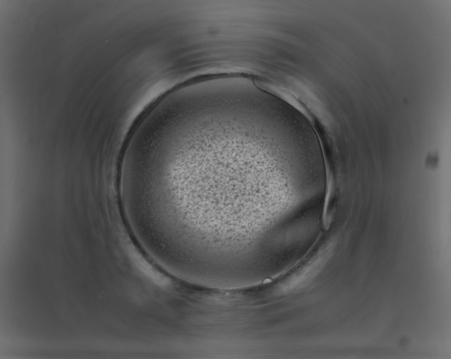 X0000094930797200712131536