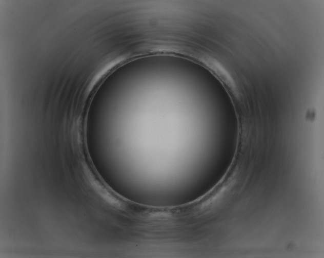 X0000094930798200712131536