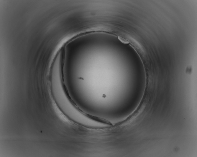 X0000094930800200712131536