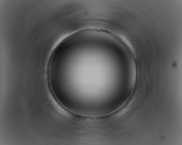 X0000094930803200712131536