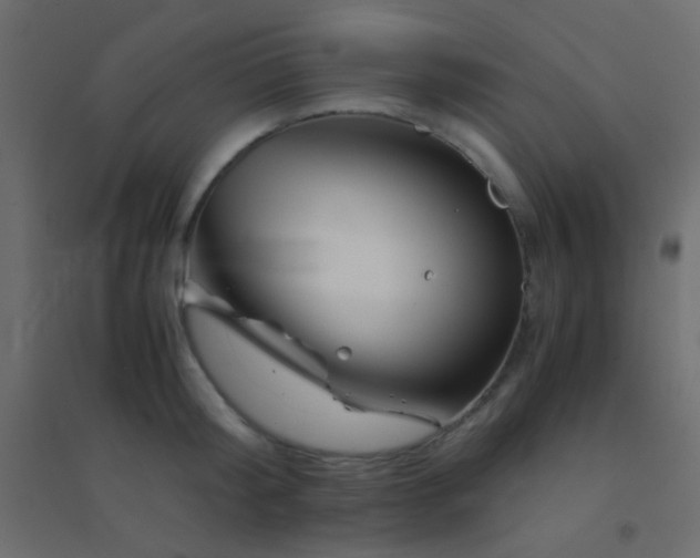 X0000094930804200712131536
