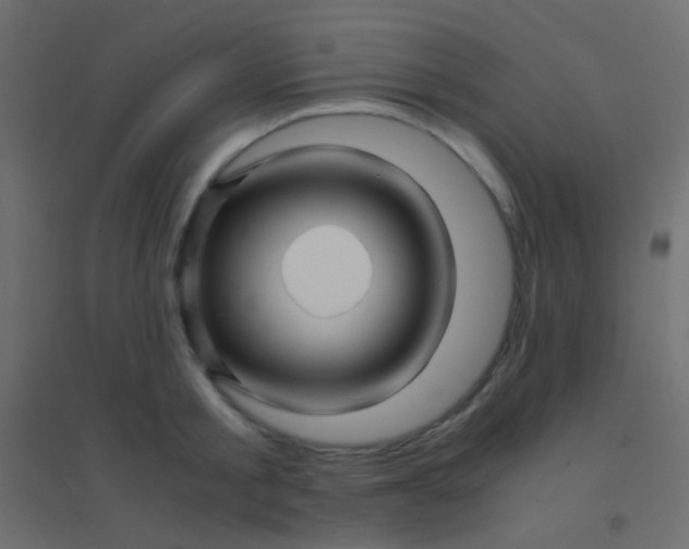 X0000094930805200712131536