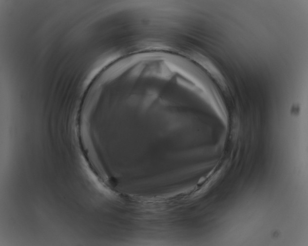X0000094930806200712131536