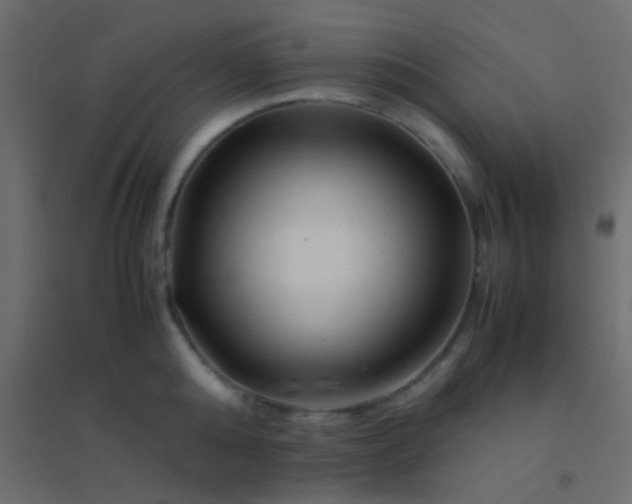 X0000094930808200712131536