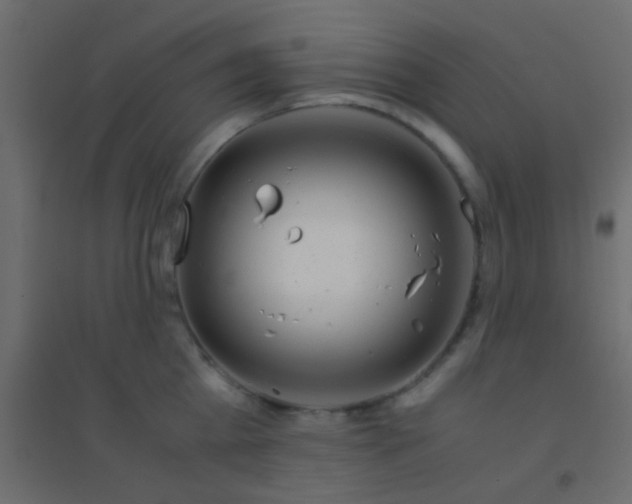 X0000094930809200712131536