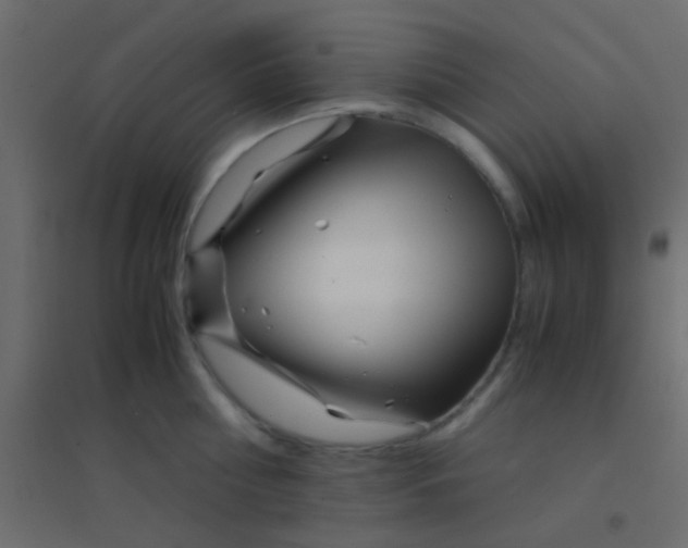 X0000094930810200712131536