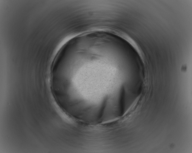 X0000094930811200712131536