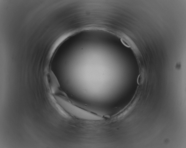 X0000094930812200712131536