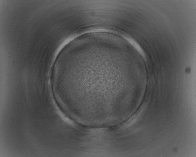 X0000094930813200712131536