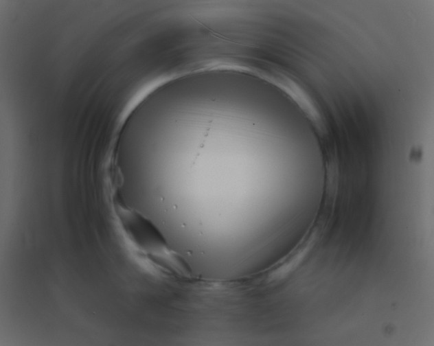 X0000094930814200712131536