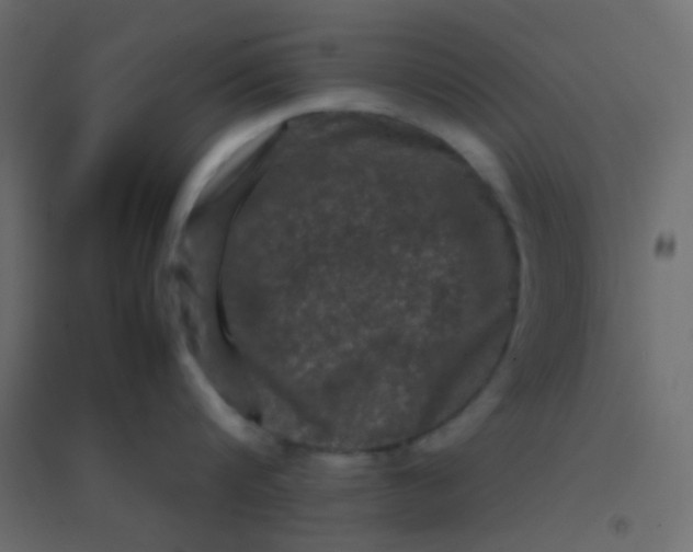 X0000094930816200712131536