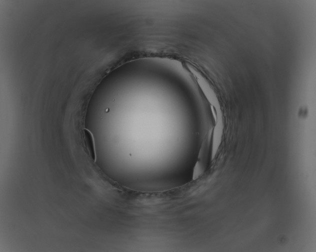 X0000094930817200712131535