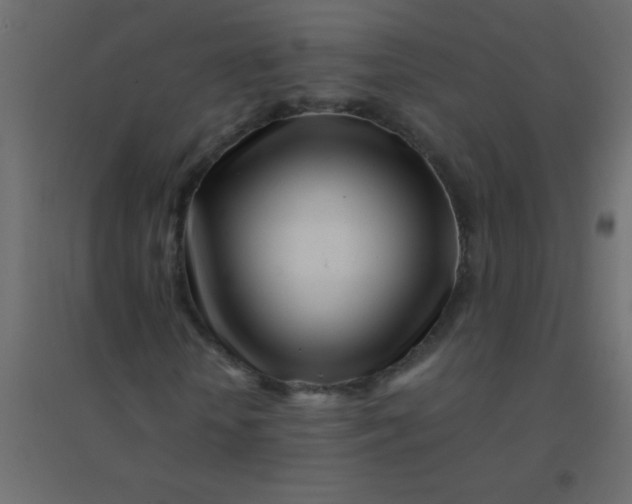 X0000094930818200712131535