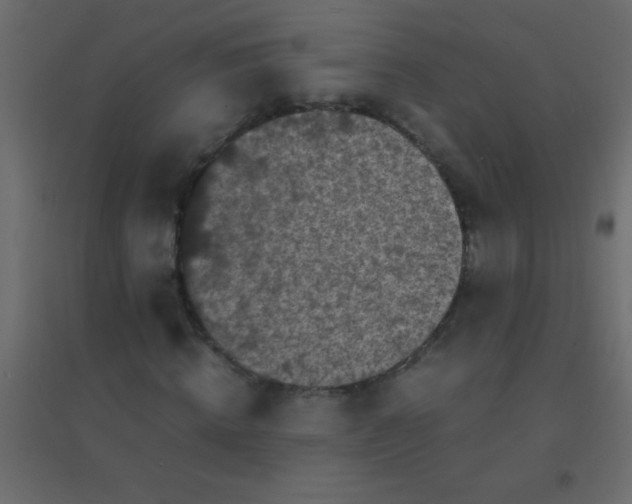X0000094930820200712131535
