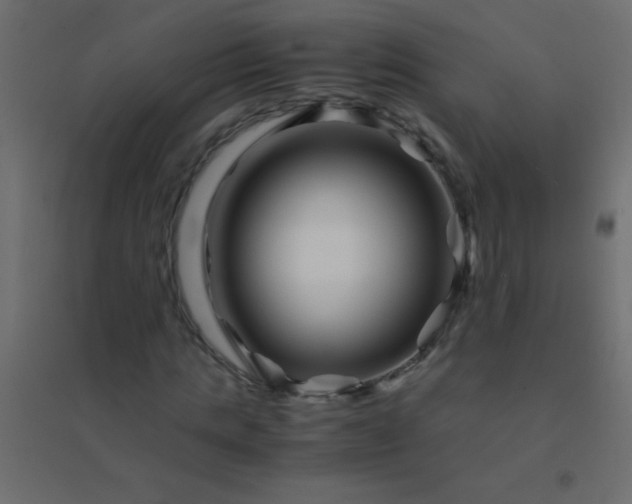 X0000094930821200712131535