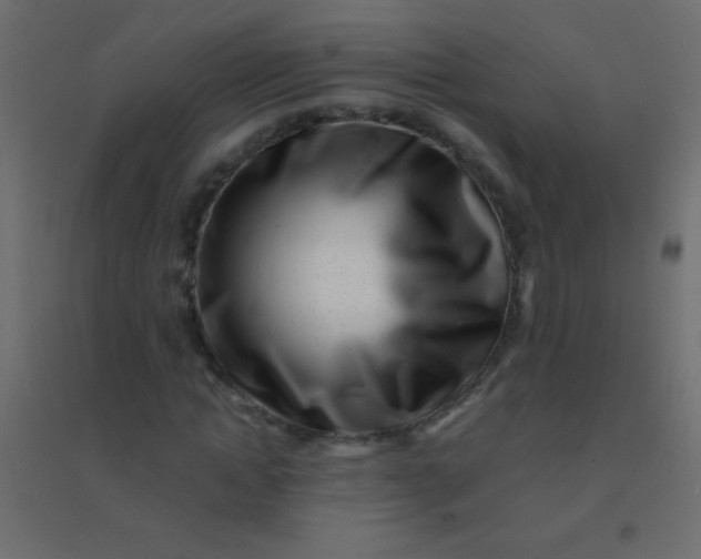 X0000094930822200712131535