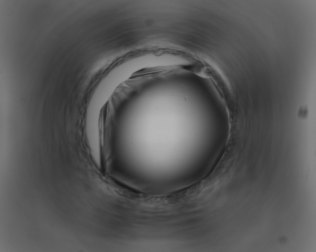 X0000094930823200712131535