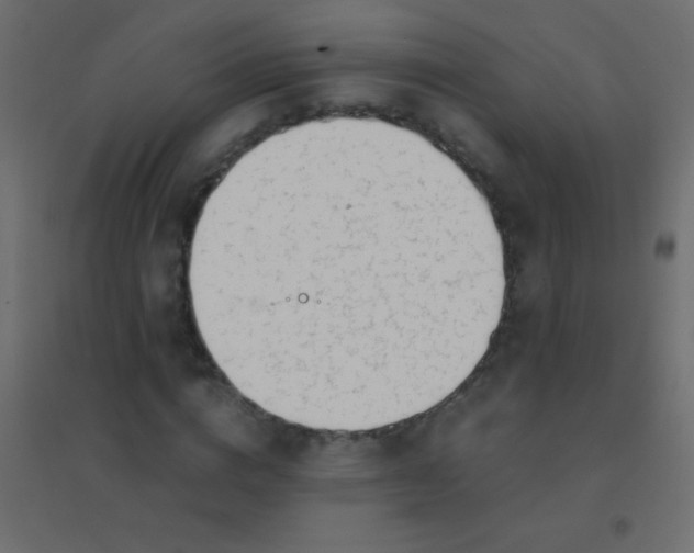 X0000094930824200712131535