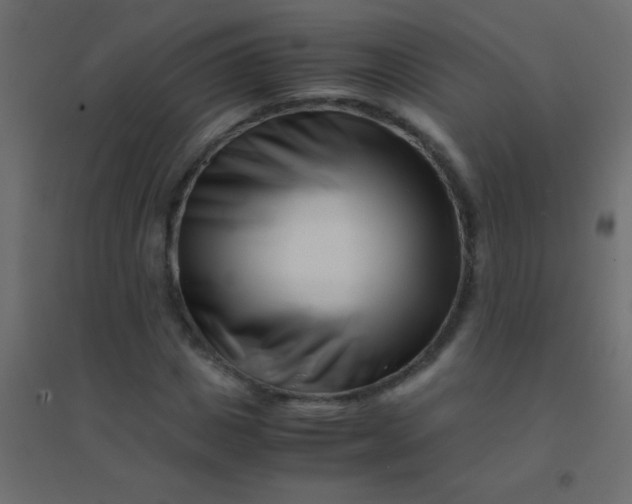 X0000094930825200712131535
