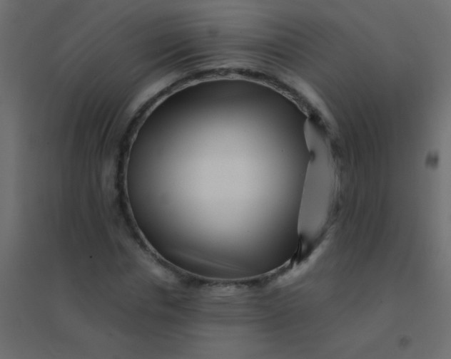 X0000094930826200712131535