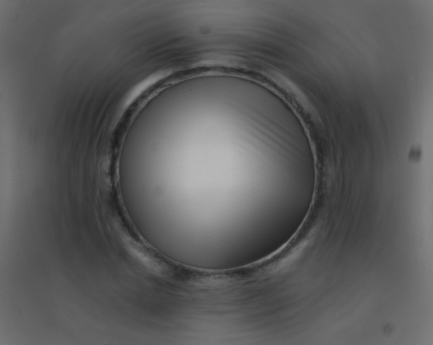 X0000094930830200712131535