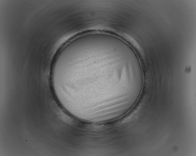 X0000094930831200712131535