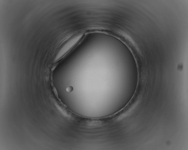 X0000094930833200712131535