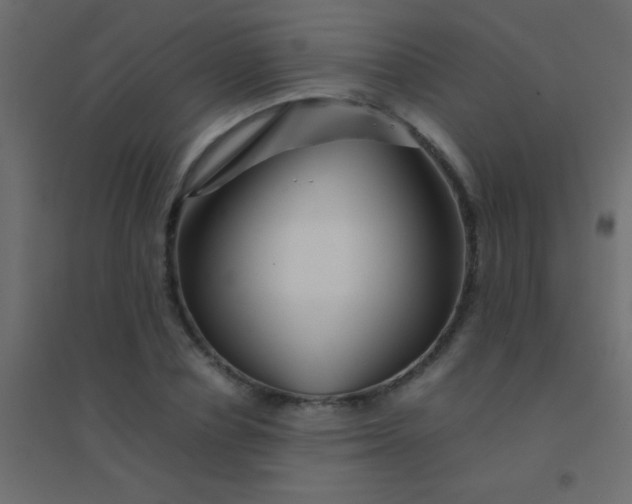 X0000094930834200712131535