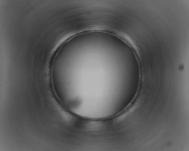 X0000094930835200712131535