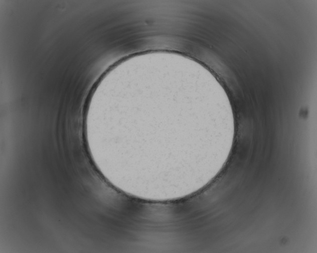 X0000094930836200712131535