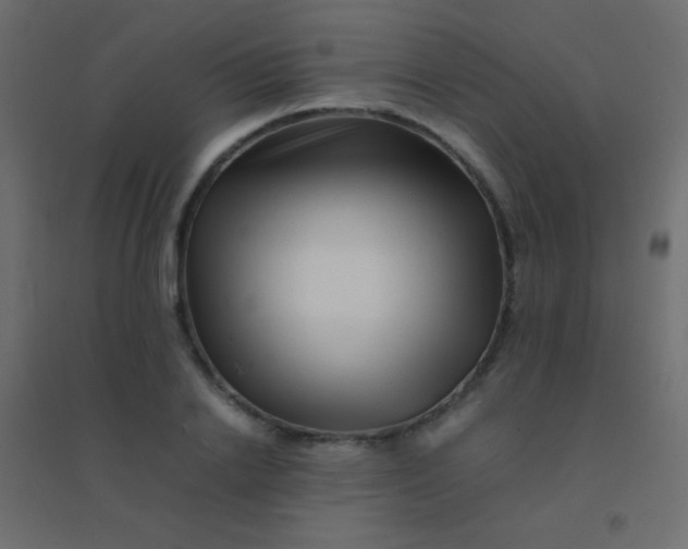 X0000094930838200712131535