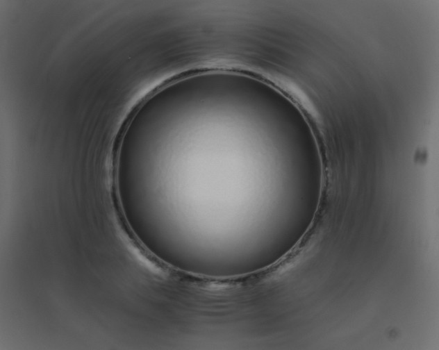 X0000094930839200712131535