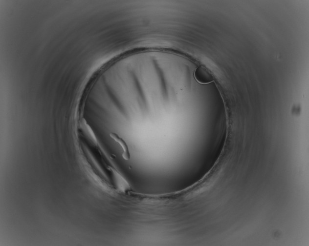 X0000094930840200712131535