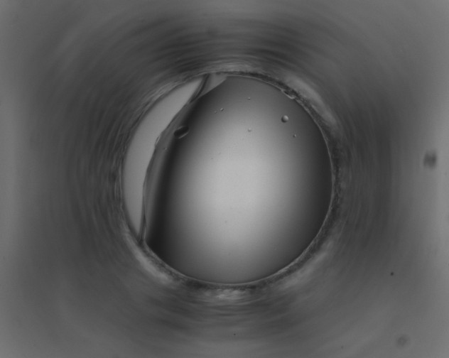 X0000094930841200712131535