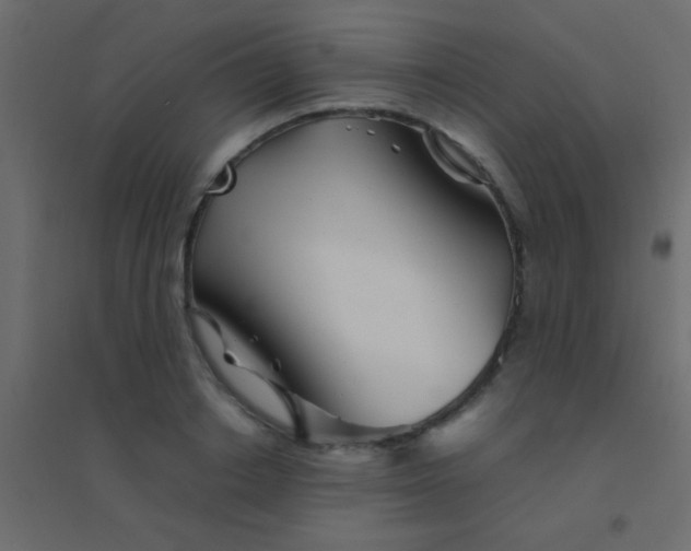 X0000094930842200712131535