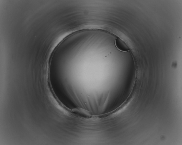 X0000094930844200712131535