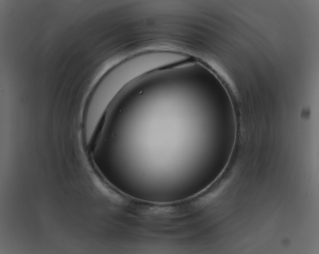 X0000094930845200712131535