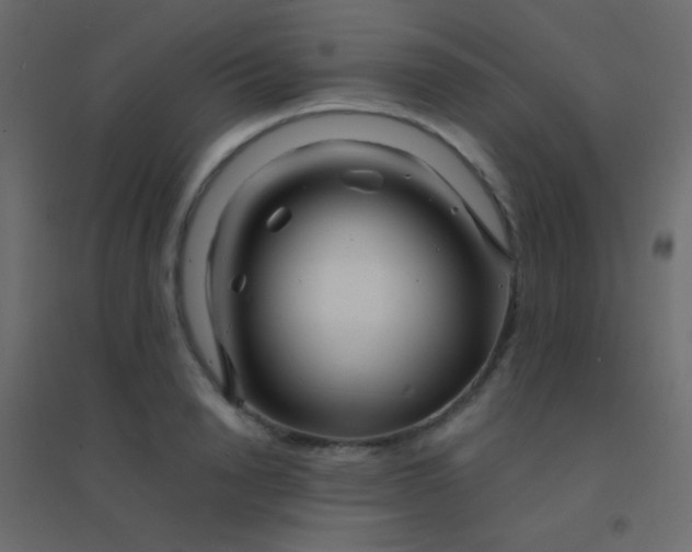 X0000094930846200712131535